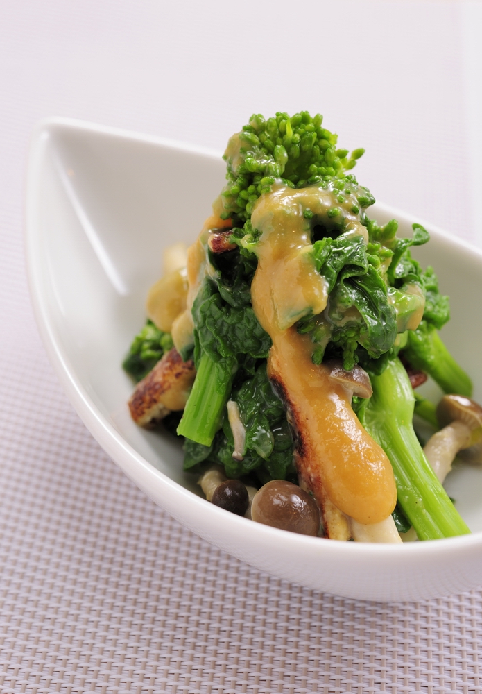 春の訪れを感じる♪菜の花・ふき・たらの芽レシピ集料理家レシピ満載 みんなのきょうの料理 NHK「きょうの料理」で放送のおいしい料理レシピをおとどけ