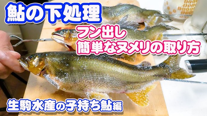 イワナの塩焼きの作り方とコツを解説 – 家で川魚の塩焼きを楽しむには？川魚食情報「さかな専科」