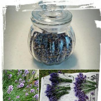 ラベンダーポプリ・サシェ作り方ＫＡＲＡＤＡ＊心もカラダも健康でありますように