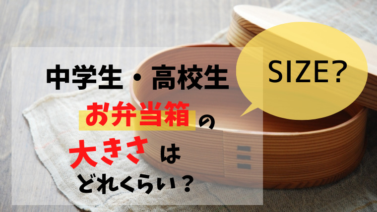 弁当箱 1段 480ml 通販 日本製 ランチボックス 一段 お弁当箱 一段弁当箱 レディース 大人 女子 おしゃれ シンプル 小さめ かわいい中フタ以外 食洗機対応 蓋を外して 電子レンジ対応 中学生女子 女の子 高校女子 弁当用品 お弁当グッズ 食器 お弁当箱 うめぼし