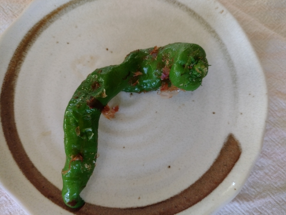 甘長トウガラシとは？普通のとうがらしとの違いやおすすめレシピを解説マイナビ農業