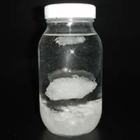 全日本氷糖工業組合氷砂糖のひみつ