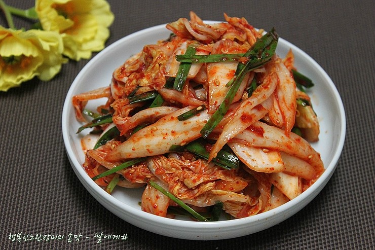 白キムチ浅漬けの素 500ml 旨辛にんにく風味 北杜 ほくと 食品 山梨県北杜市送料別ＮＳ