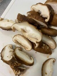 黒い斑点ができた椎茸、食べても大丈夫ですか？昨日買ったばかりなんで- Yahoo!知恵袋