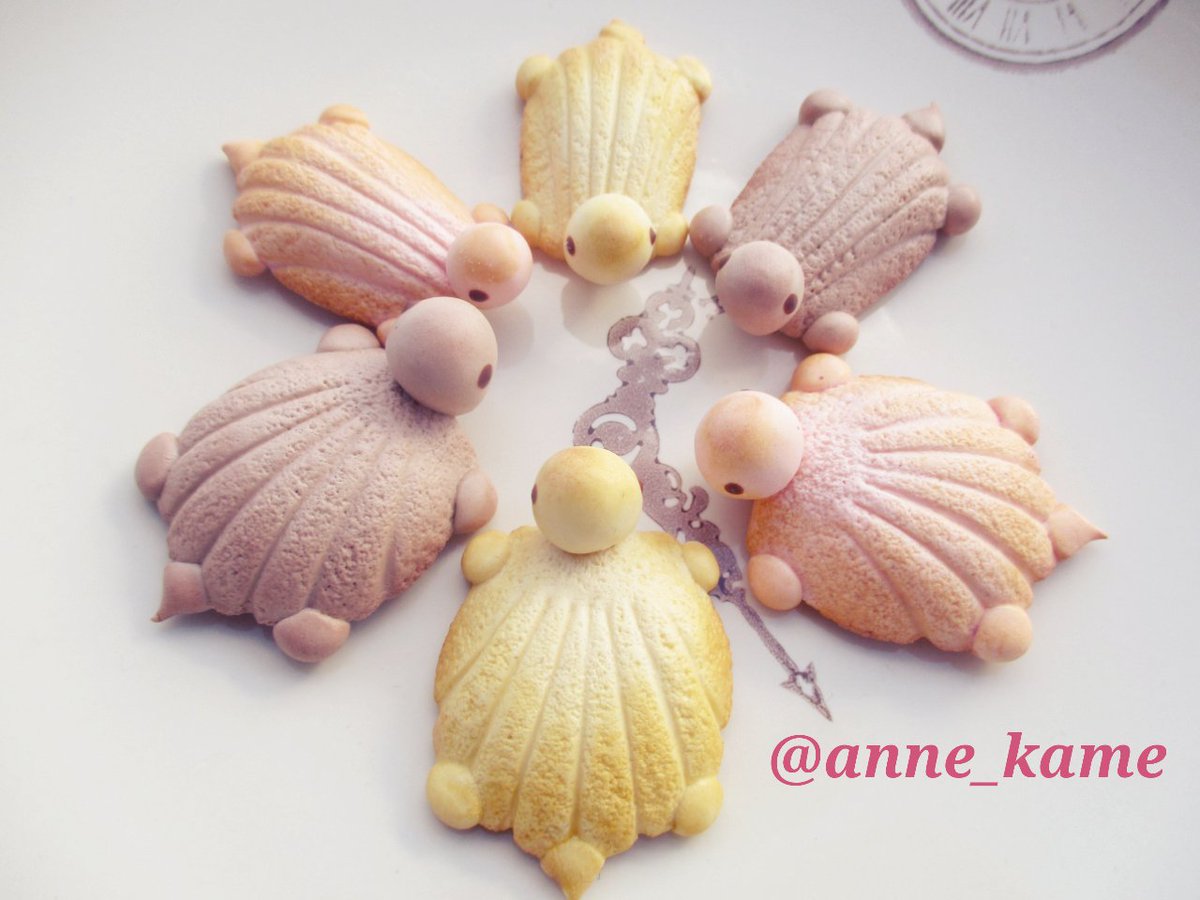 Amazon.co.jp: シリコン型チョコ型 カメの形のシリコーン型フォンダンムースケーキデコレーション diy ゼリー型 : ホーム＆キッチン