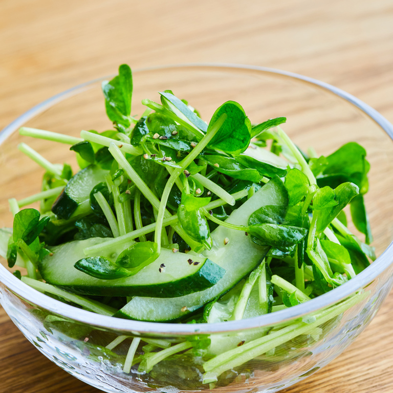 レパートリーが広がる！豆苗を使った簡単サラダ6選 - macaroni