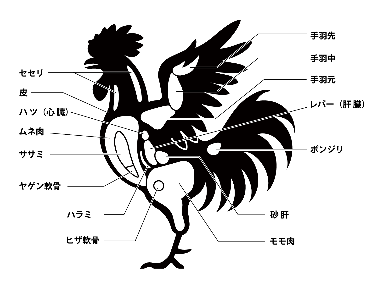 焼鳥雑学 鶏もも肉の各名称 鶏もも肉の部位・名称を徹底解説！希少部位のソリ・おび・あかの魅力 - とりはなブログ