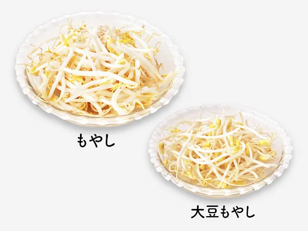 もやし」と「豆もやし」何が違うの？女性に嬉しい栄養たっぷり！ 豚肉とピッタリ時短レシピ - JAPAN X オンラインストア