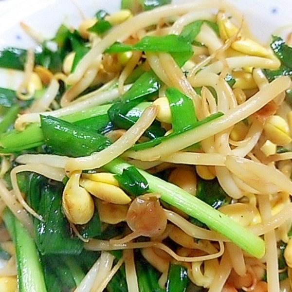 豆もやし 写真素材4932444- フォトライブラリ