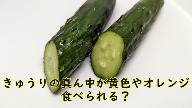 超どでかい黄色いキュウリの塩もみ 鰹節醤油和え！ : Kochan's ベランダ菜園BLOG -マンションガーデニング、家庭菜園、仙台グルメ、キャンペーン情報等