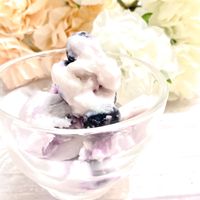 美肌と腸活に最適！ブルーベリーヨーグルトアイスの作り方