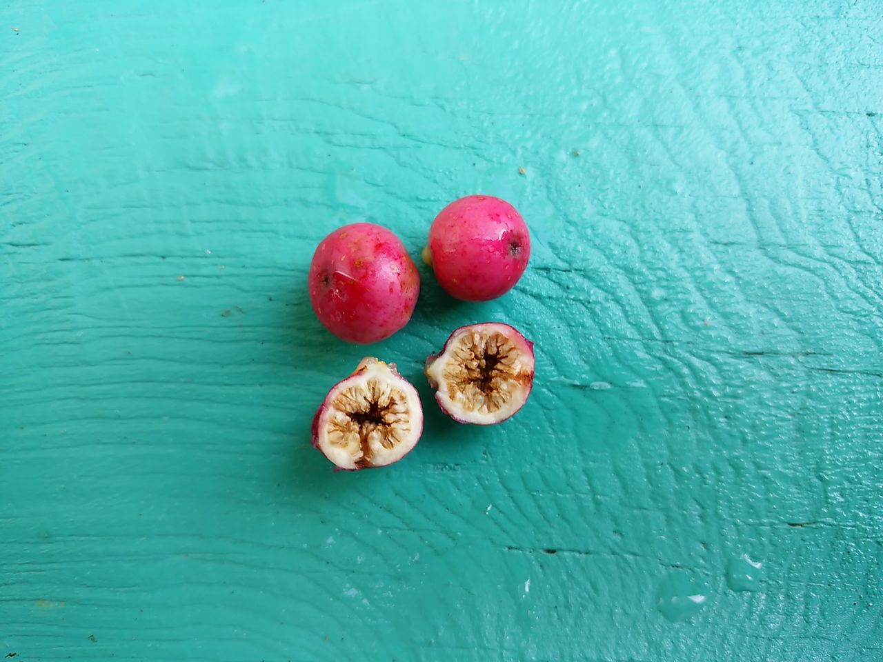 道沿いでガジュマル食べるアカガシラカラスバト小笠原マルベリ