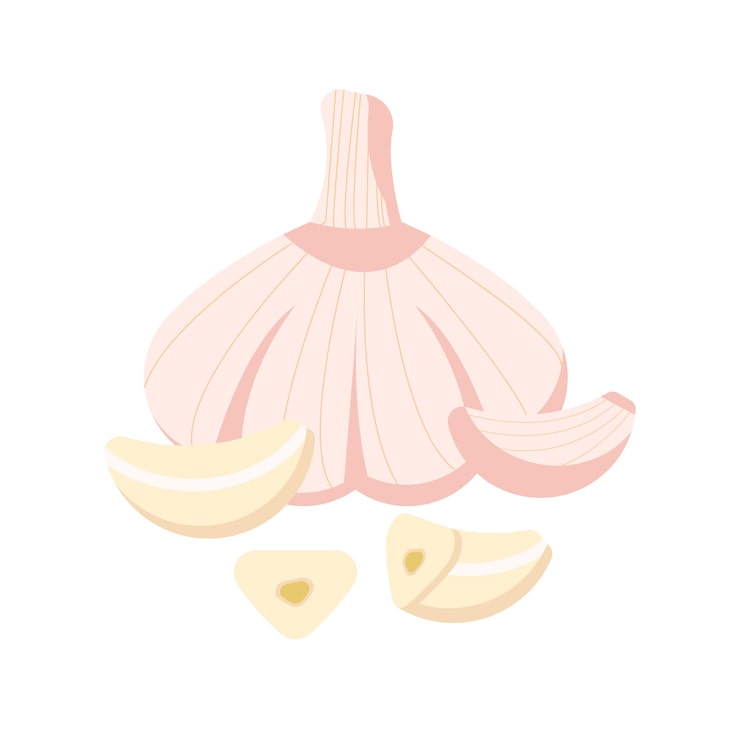 にんにくセット。にんにくのみじん切りの手描きイラスト。孤立した背景。レイヤー付き。Premiumベクトル素材