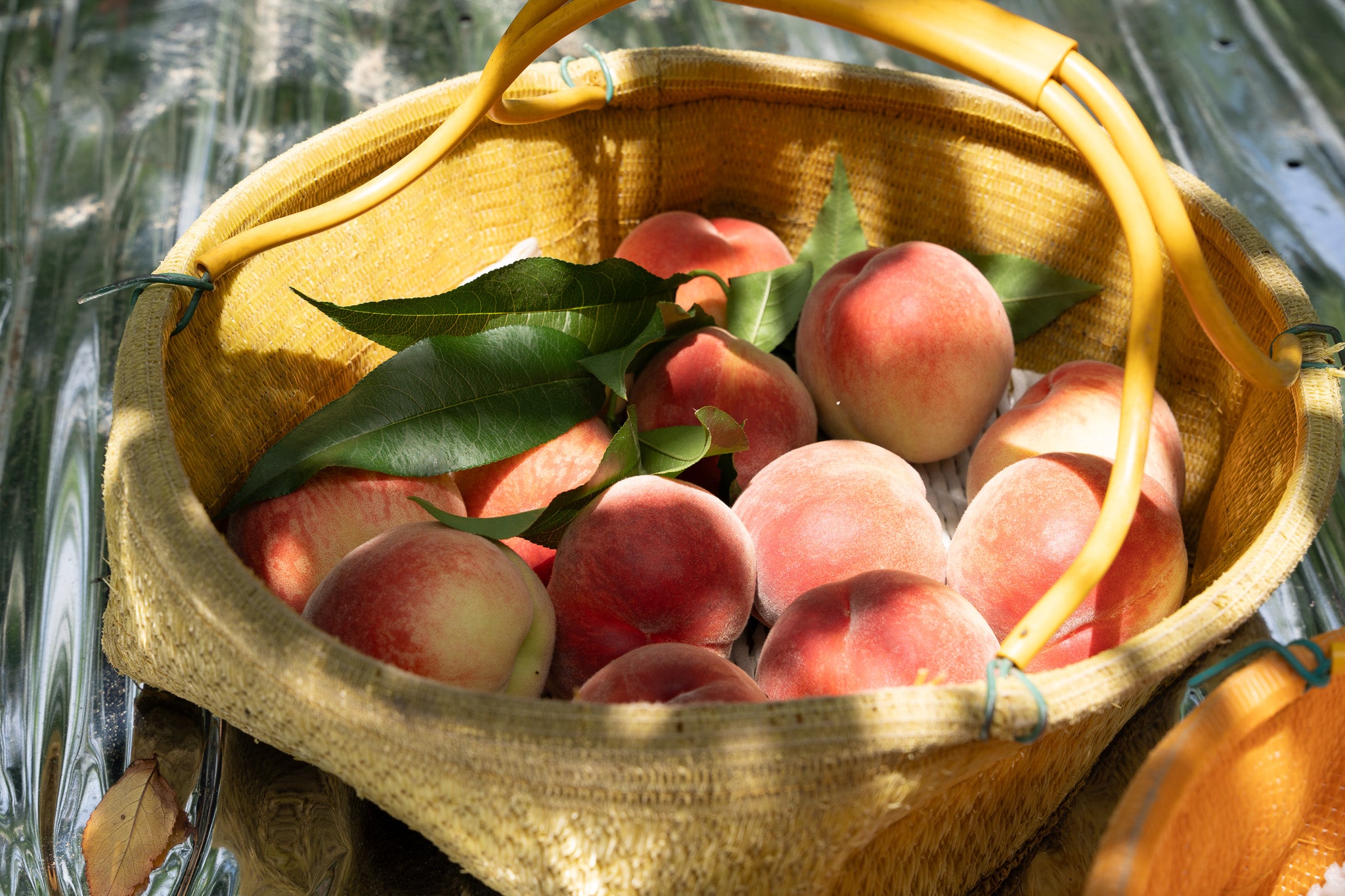 桃の美味しさそのまま！上手な保存方法を常温・冷凍別に紹介！ - COCORO FARM VILLAGE