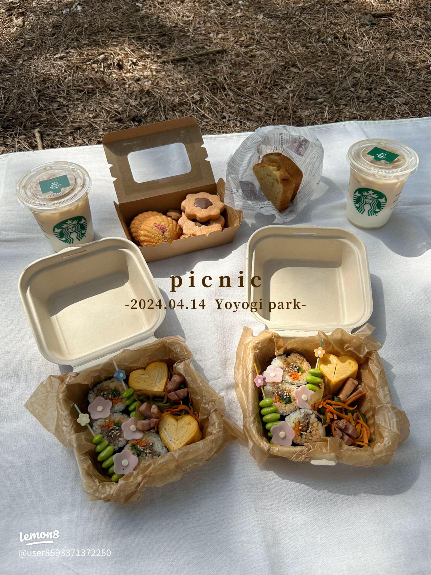 おしゃれなお弁当箱32選！大人女性におすすめのシンプルかわいいものを厳選PrettyOnline