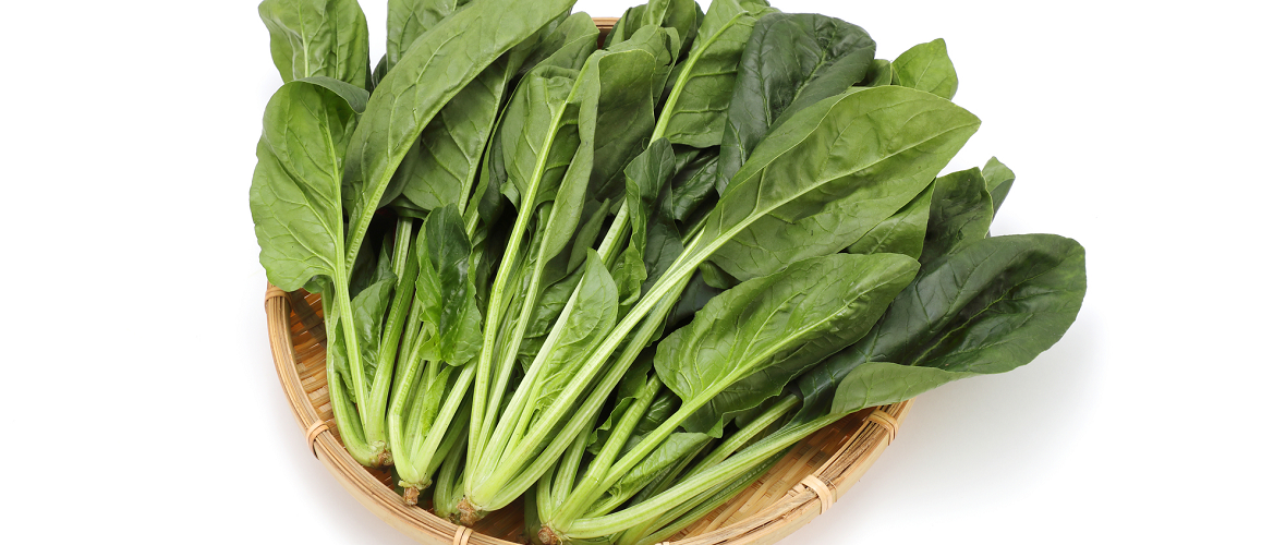 ほうれん草栽培で、繰り返し収穫するためのコツや注意点を教えてください