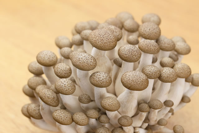 8 納豆に白いかび様物質宇都宮市公式Webサイト