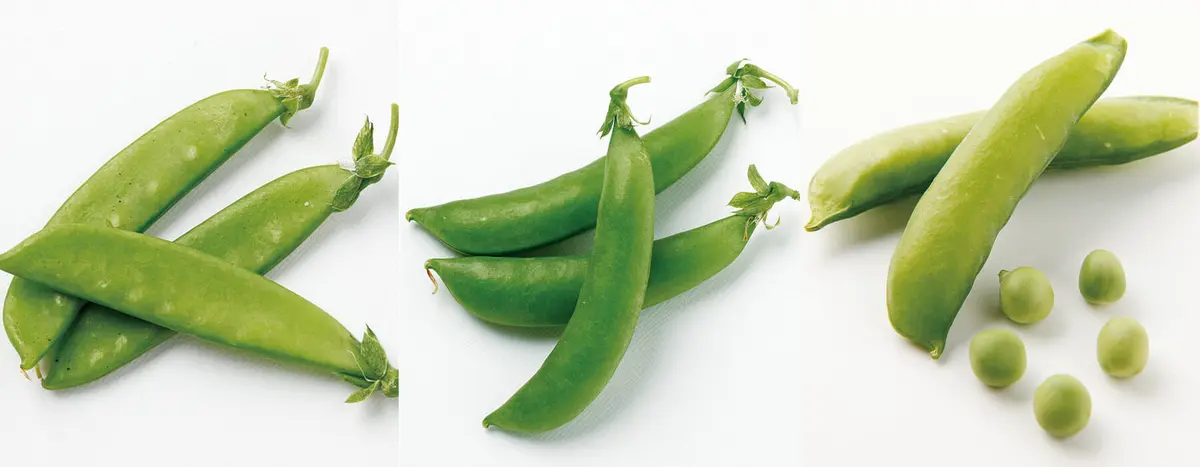 春野菜物語 エンドウ サヤエンドウと実エンドウ : fresh green peas with or without pods -Kuwatoteキッチン クワトテキッチン