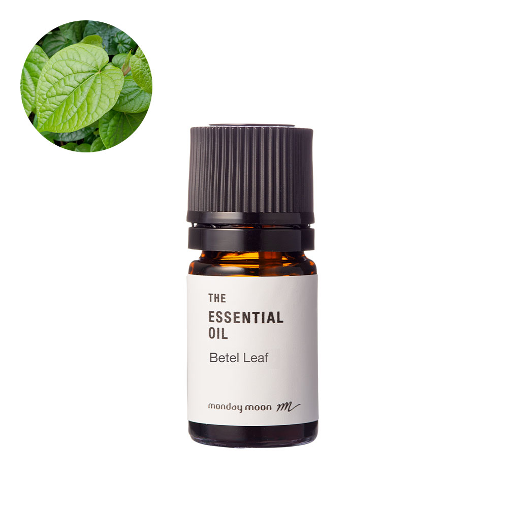 Amazon神戸スパイス オールスパイスパウダー メキシコ産 100g Allspice Powder オールスパイス 粉末 ピメントベリーパウダー 香辛料神戸スパイススパイス・ハーブ 通販