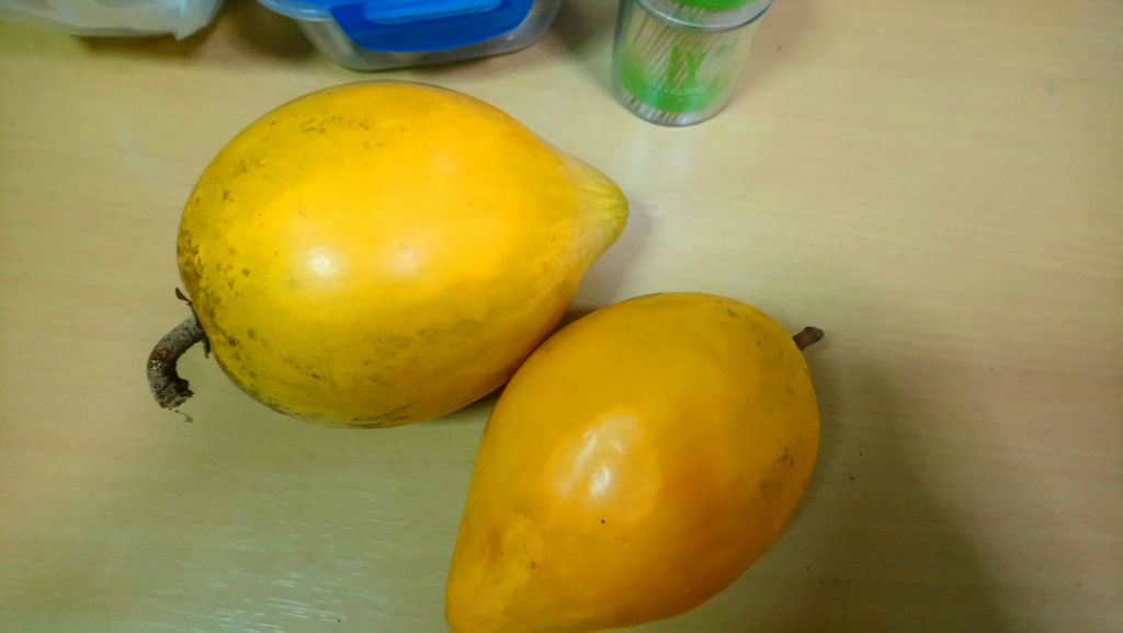 日本のスーパーで破格で売られていたドリアンを食べました。本当に臭いの？ - タヒチダンスフィットネスジャパン