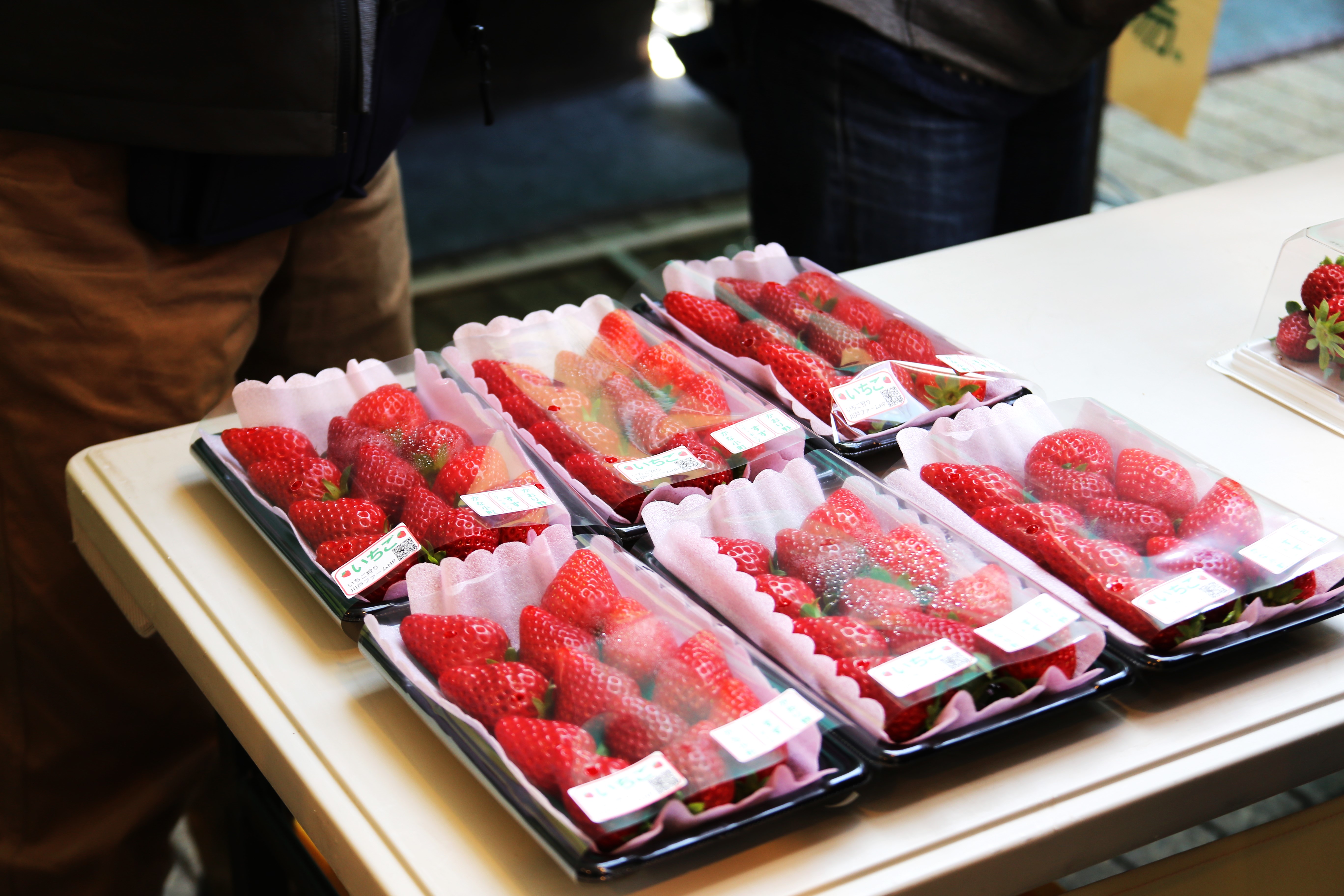 近くのいちご狩り農園 神奈川県・横浜 おすすめ11選いちご狩り特集2025 - ウォーカープラス
