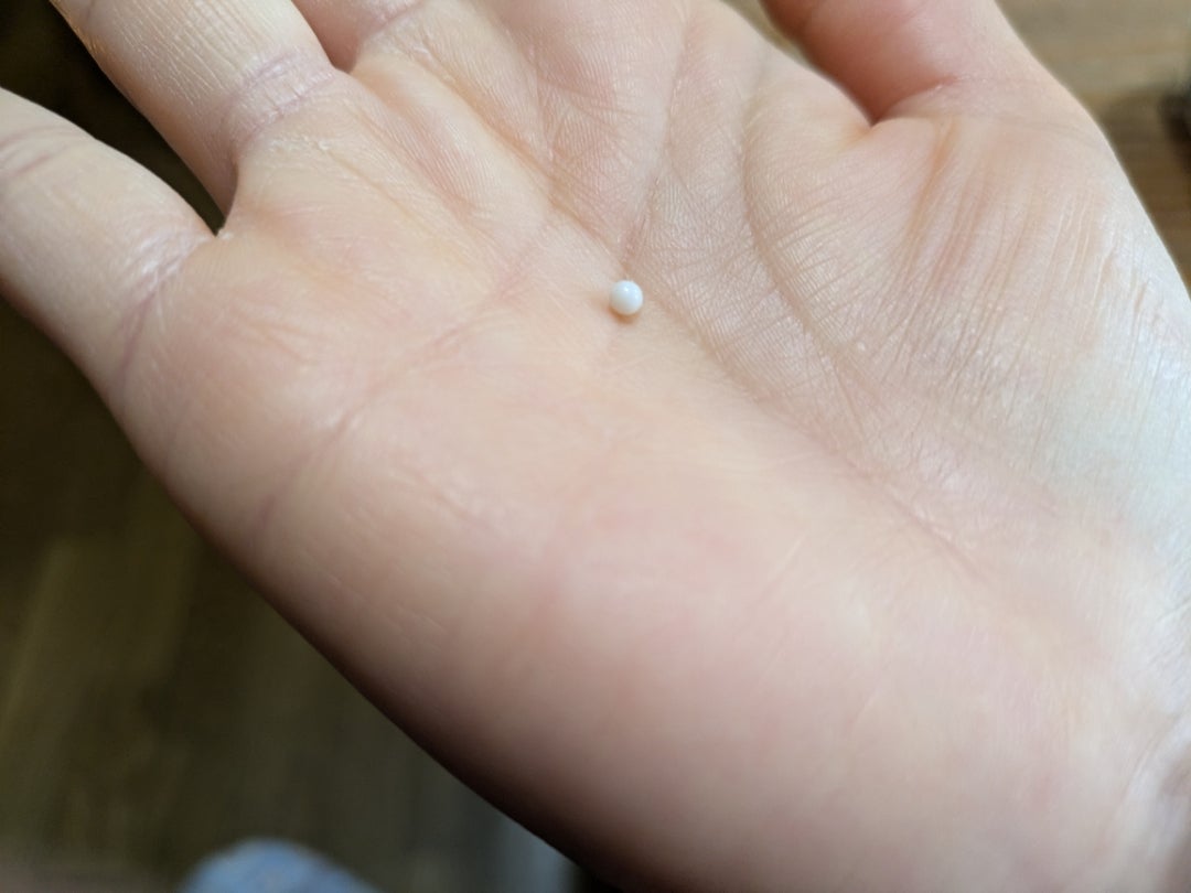 5PC真珠 カキ 10色 内側 真珠と10 ミックスカラーラウンド 愛 願い牡蠣と