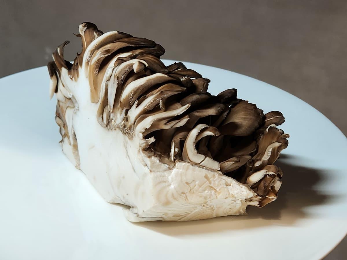 訳あり＞ 舞ちゃん城 舞茸 石づき無し 4パック2kg以上ta190 舞ちゃん城- 宮城県大和町ふるさとチョイス - ふるさと納税サイト