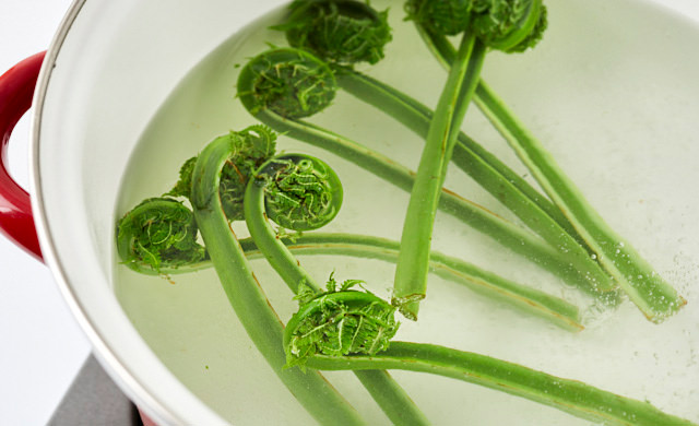 季節感じる！ こごみの天ぷら