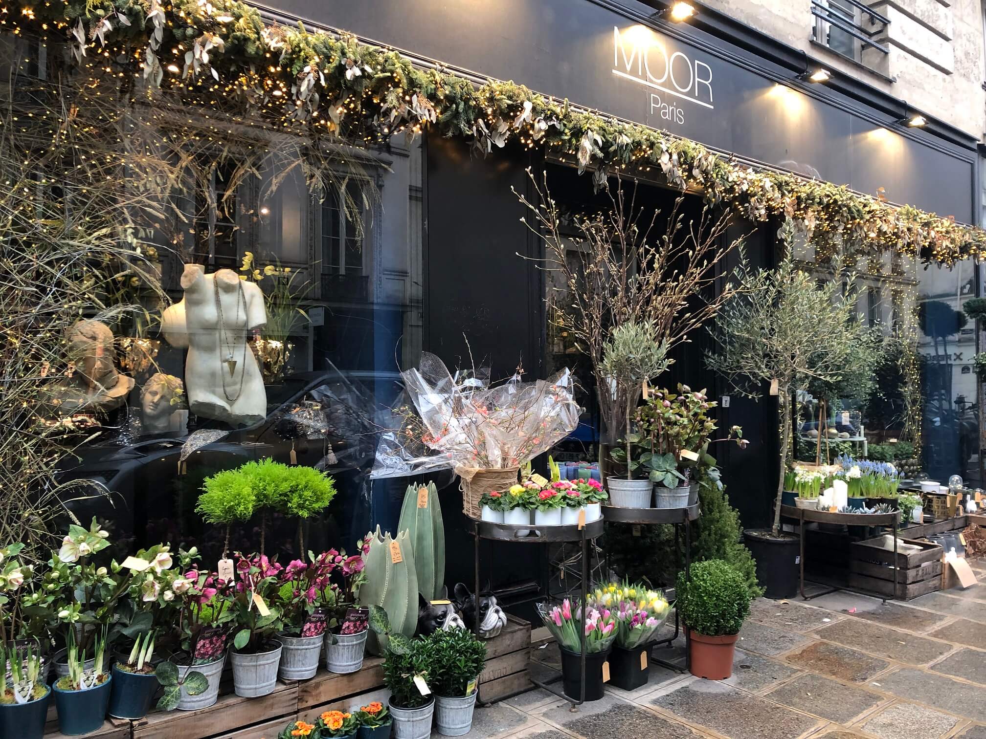 パリ最新情報「春を先取り！パリの花屋さんに並び始めたミモザ」Design Stories