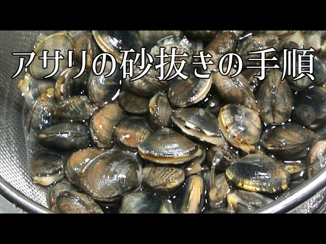 ハマグリを食べたことがありますか?3 - 日淡こぼれ話