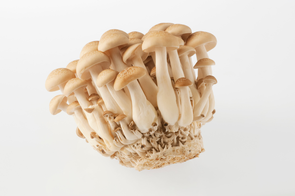 石づき とは？しいたけ・舞茸・えのきの石づきの取り方を紹介！食・料理オリーブオイルをひとまわし