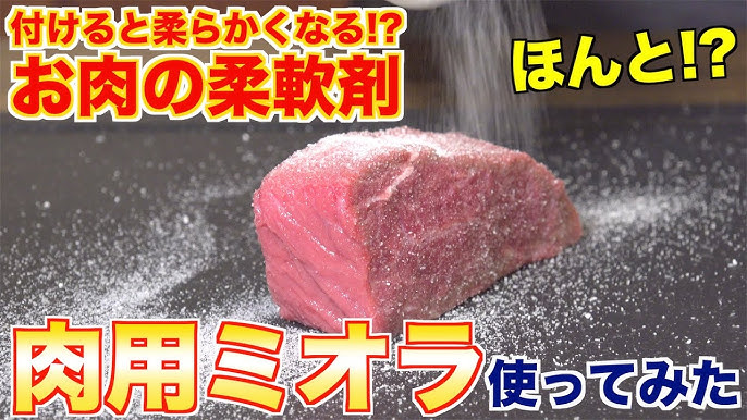 Amazon味の素 お肉やわらかの素 袋 50gAjinomotoごはん・料理の素 通販