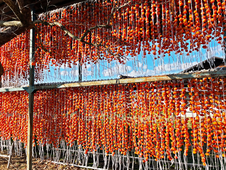 これは便利！☆干し柿の冷凍保存法☆