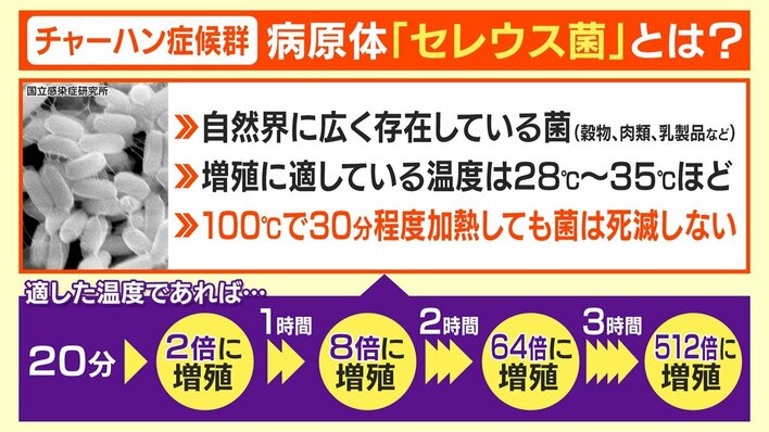 カレーチャーハン弁当レシピ傷みにくい炒め物や和え物