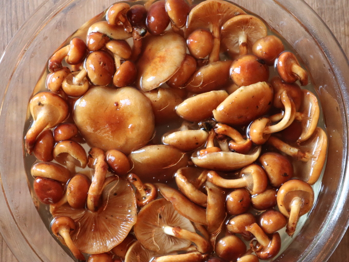 もうひと品に なめこと厚揚げのさっと煮