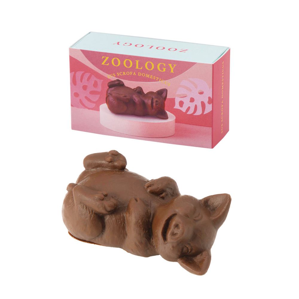 お客様の声を反映させた、 『亀田の柿の種 2種のチョコタネMIX』を 期間限定で発売NEWSCAST