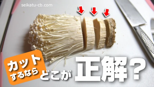 きのこの石づきとは？下処理や活用レシピもご紹介デリッシュキッチン