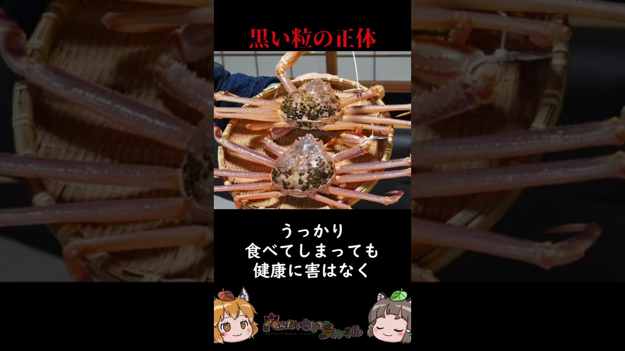 カニの甲羅の黒い粒々の正体は？ ヤバイ 取ってはいけない理由はコレ！さかなのさ 〜魚美味探求