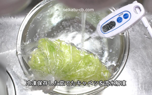 めんつゆだし解凍 冷凍千切りキャベツのサラダ