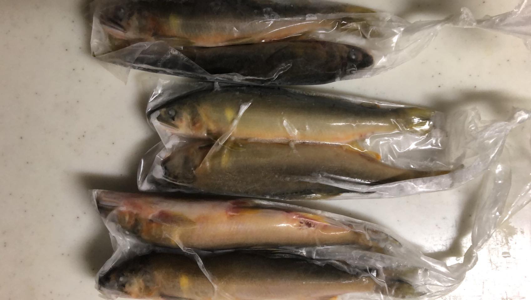 冷凍鮎の正しい保存方法と美味しい食べ方とは？ - 山崎水産有限会社