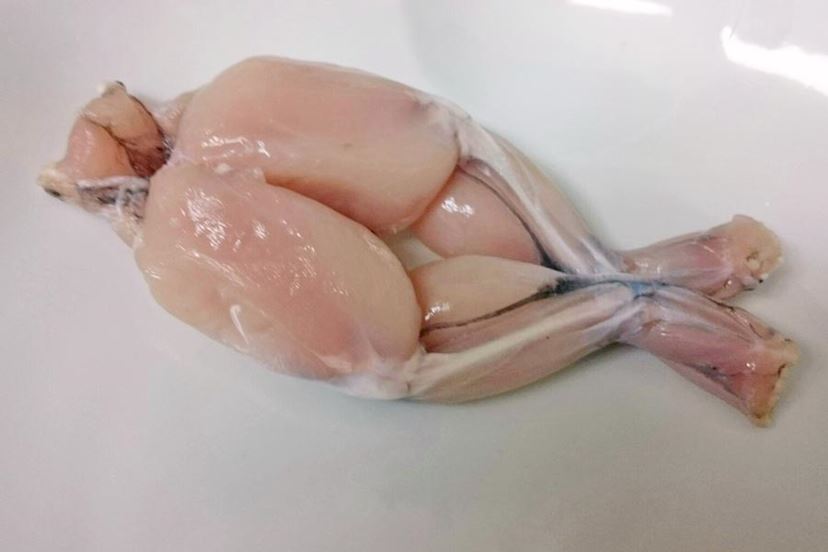 カエルの足 冷凍肉 冷凍食品 食事 食べ物 おやつ テーブルの上 コピースペース 食べ物の背景 素朴なトップPremium写真