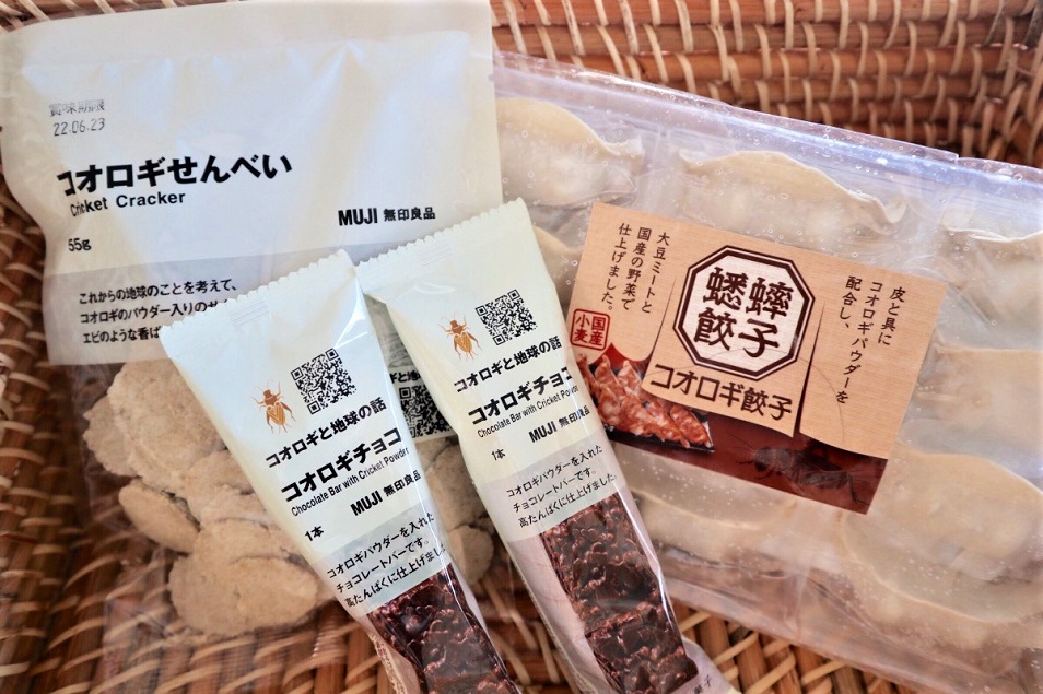 エコなタンパク源」昆虫食のいま 食用コオロギ生産工場も取材マイナビ農業