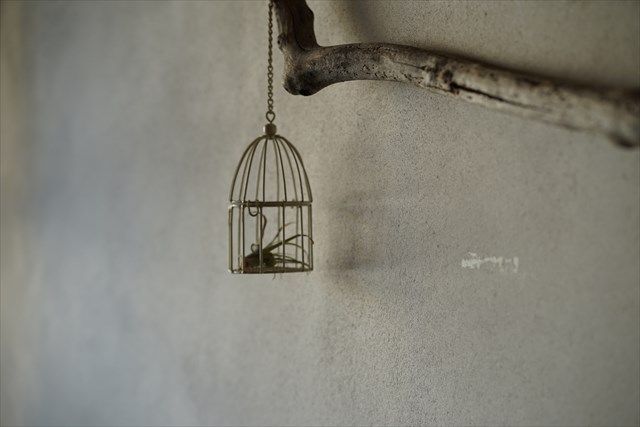 みよみよさんの投稿 CAZI CAFEことりっぷ