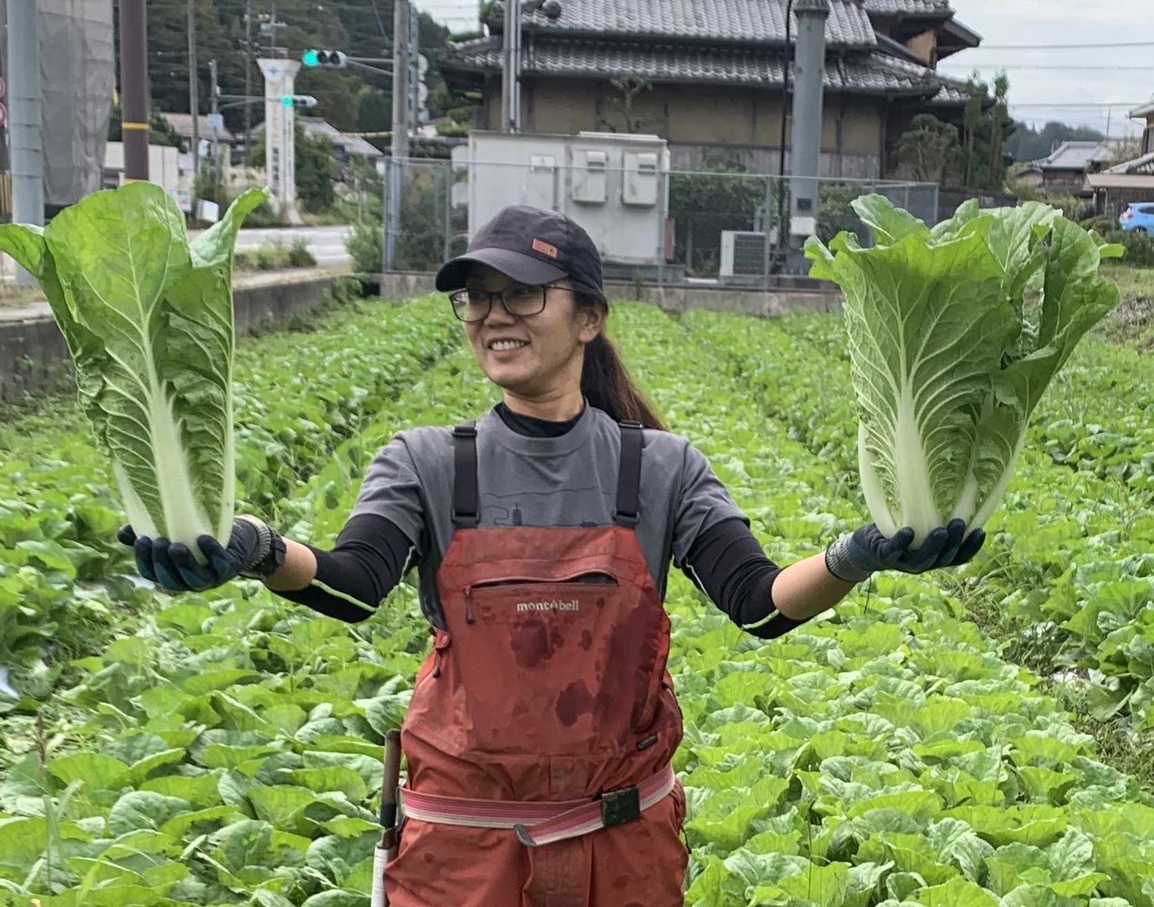 種 野菜たね ハクサイ F1オレンジミニ白菜 1袋 2ml白菜 野菜の種 国華園 : 花と緑 国華園 - 通販 - Yahoo!ショッピング