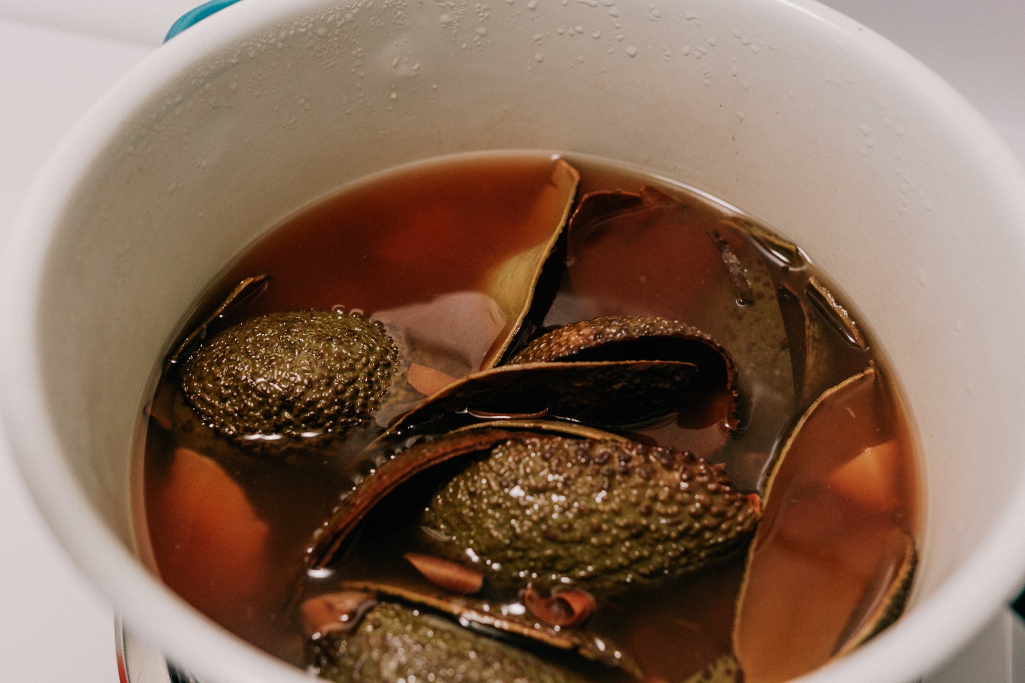 草木染め、アボカド大成功アメリカで田舎暮らし始めました