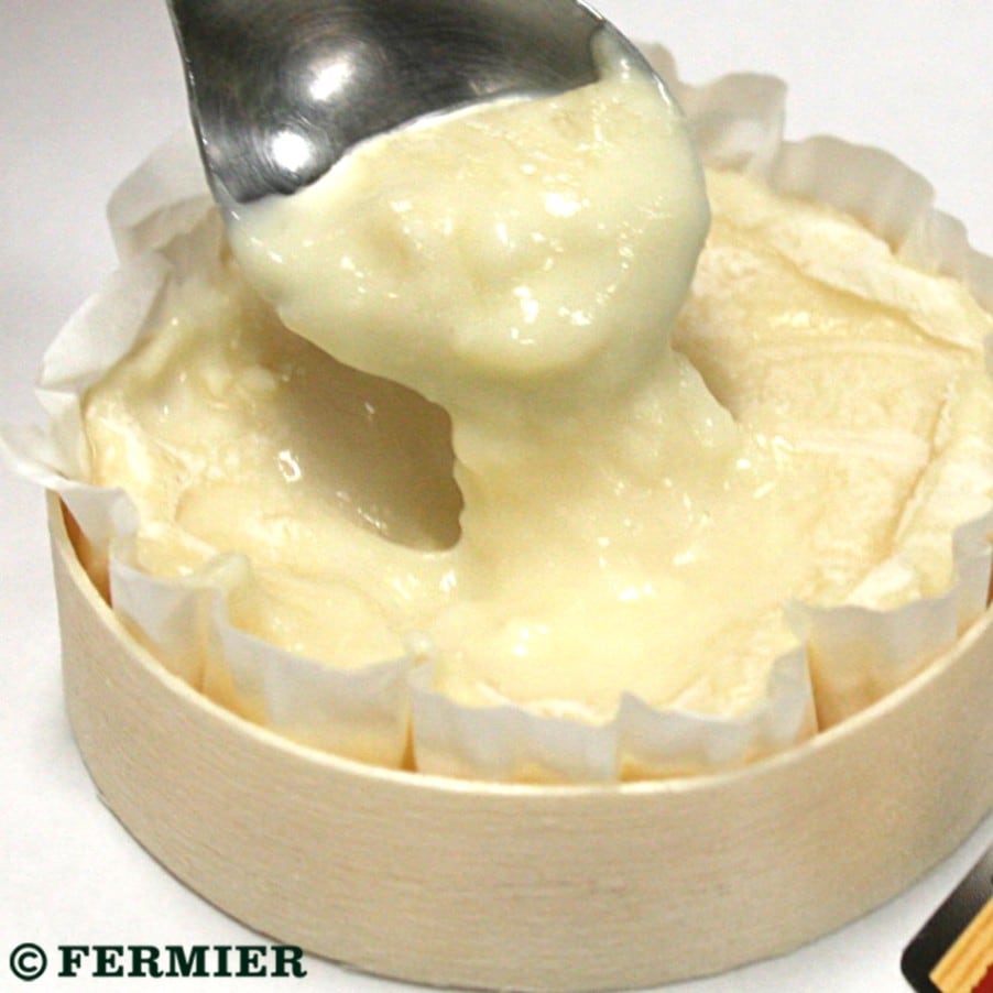 ロカマドゥール ってどんなチーズ？ケルシー地方で造られる小さなシェーヴルの秘密ソムリエールYURIの ちょこっとMEMO