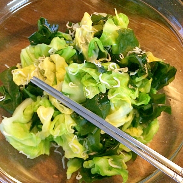 お酢でサッパリ♪ キャベツの酢の物