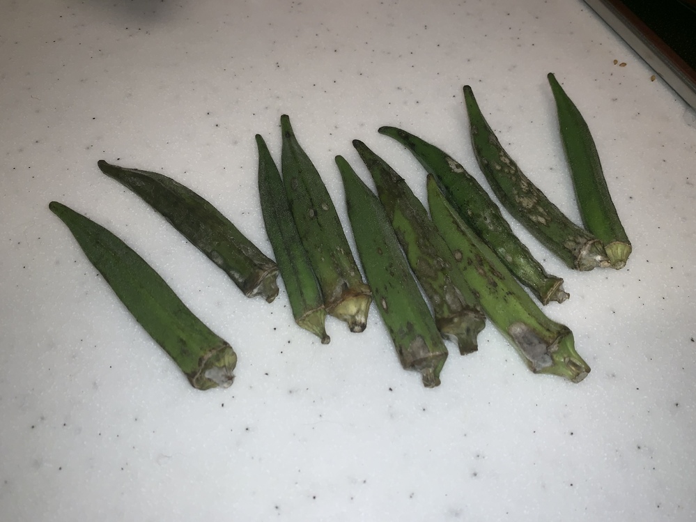 変色したオクラは食べて大丈夫？原因と対処法を色別に解説。 - Fily