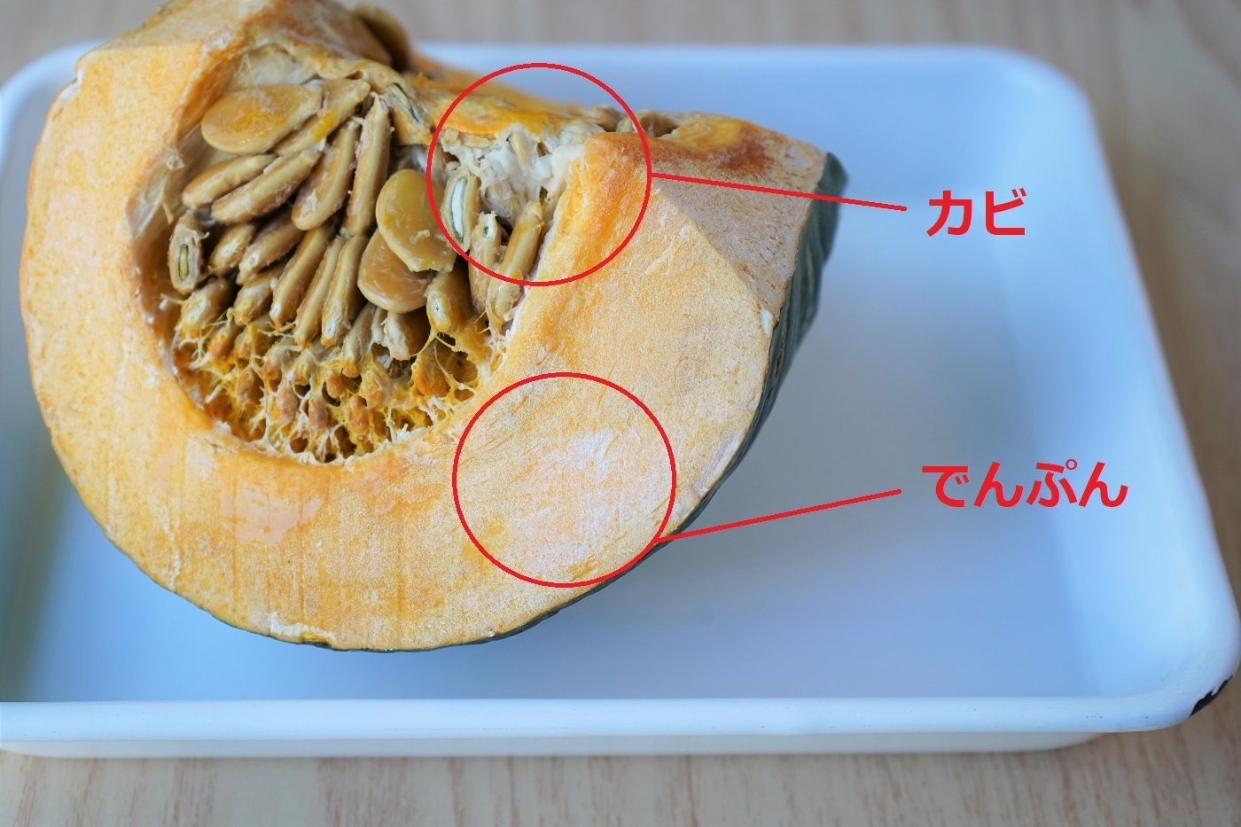 皮まで食べれる ミニかぼちゃ🎃 「プッチーニ」 皮が黄だいだい色で、オレンジ色の縞模様が入ったかわいらしい姿のかぼちゃ。手のひらサイズで、甘味があって少しねっとりとした食感が特徴とのこと。 皮が薄くて火の通りがよいので、電子レンジで加熱するだけで食べれ