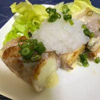 基本からアレンジまで！思わずつくりたくなる「レタス 豚肉 厚揚げ」のレシピ集クックパッド